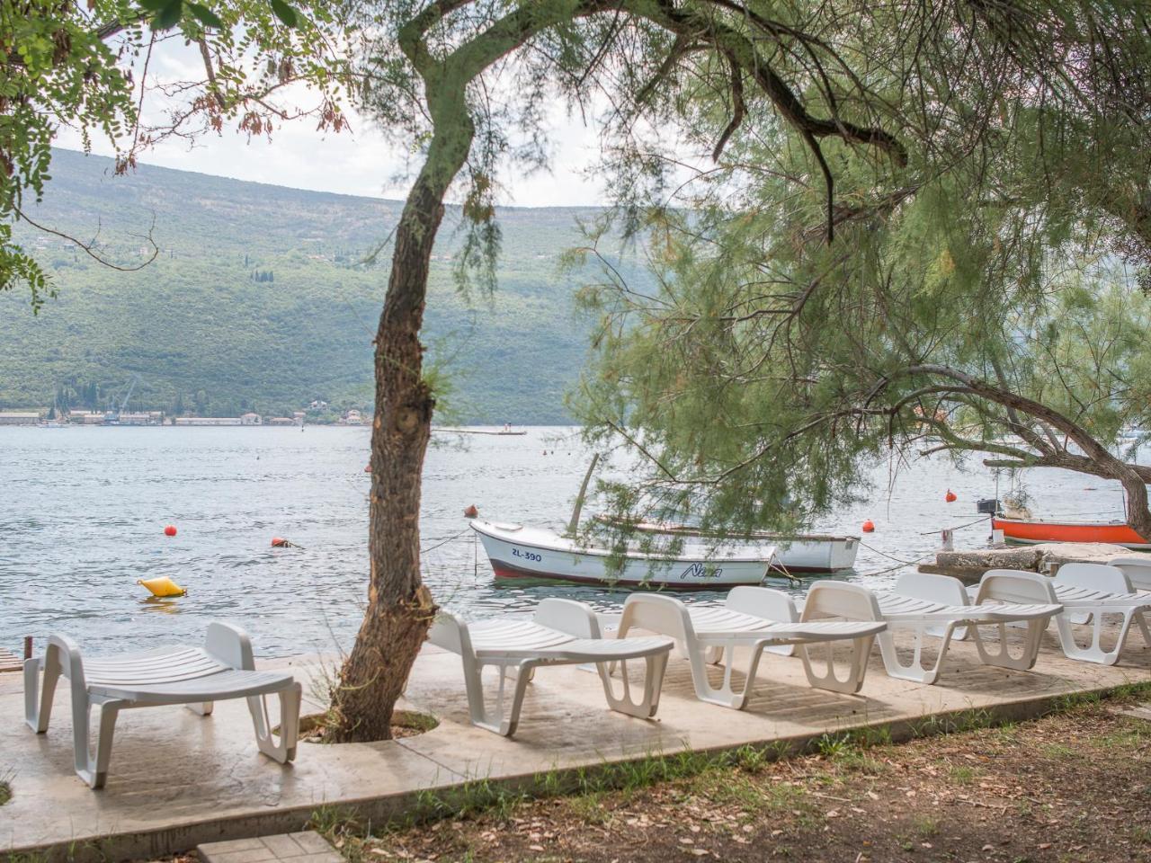 Riva Residence Ðenovići Eksteriør billede
